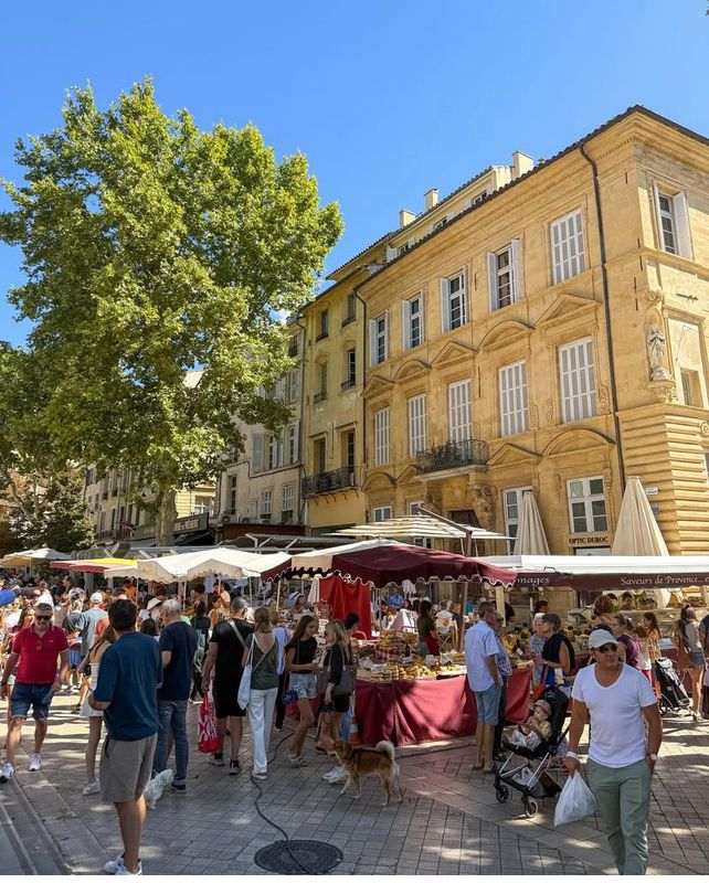 Provence markets and lavender TOUR 24 June - 7 July