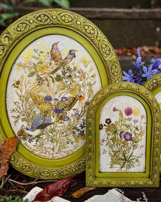 Iron orchid designs NEW release