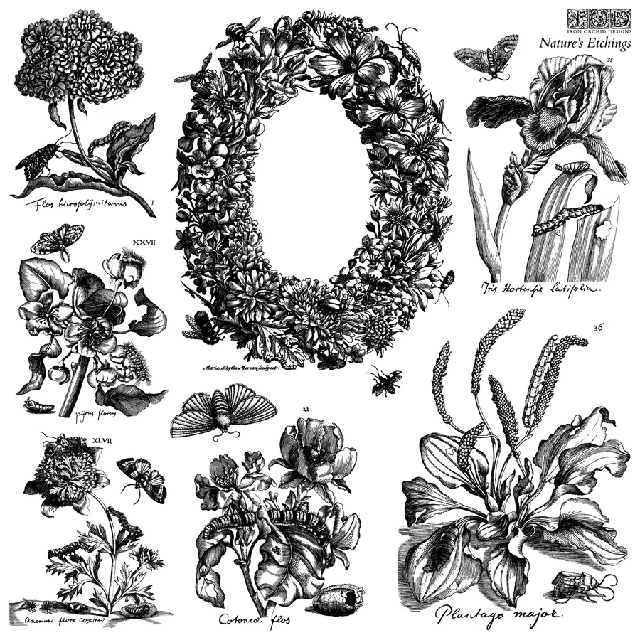 NEW! IOD Stamp Set - NATURE'S ETCHINGS (12"x12", 30.48cm x 30.48cm)
