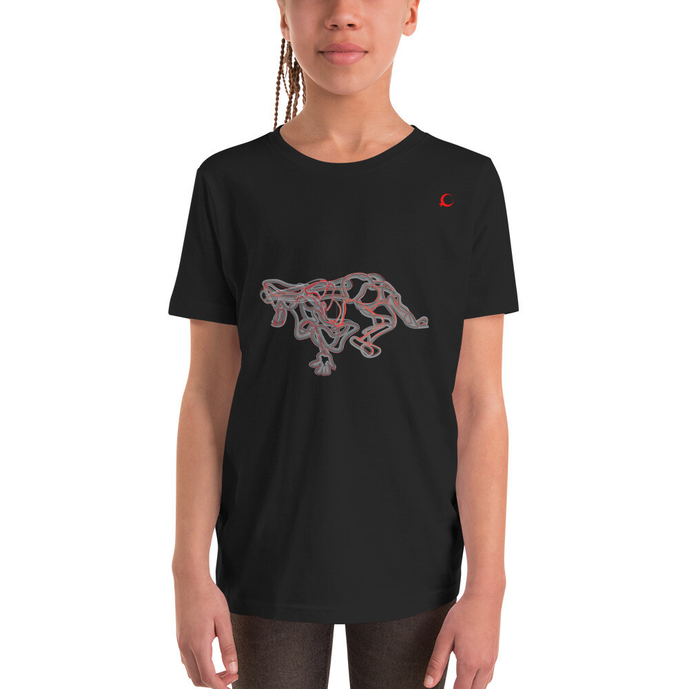 Youth Short Sleeve T-Shirt, Color: Black, Size: S