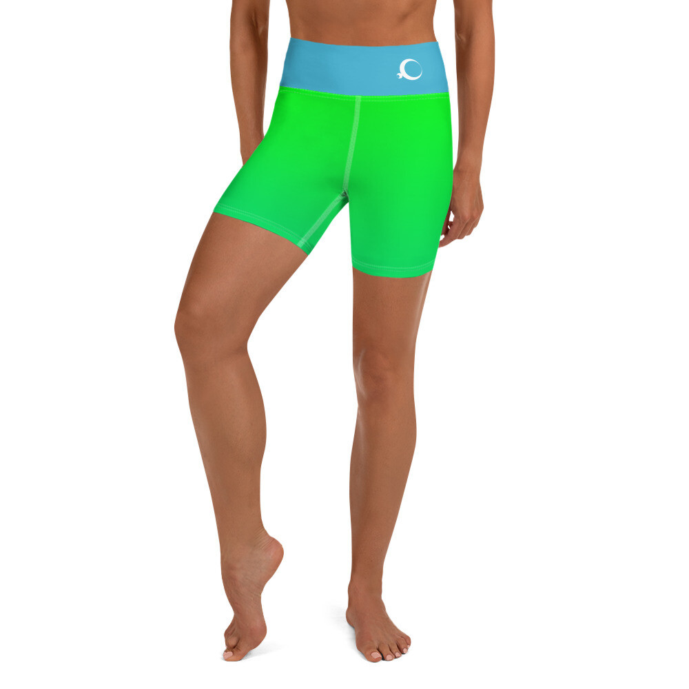 High Waisted Shorts