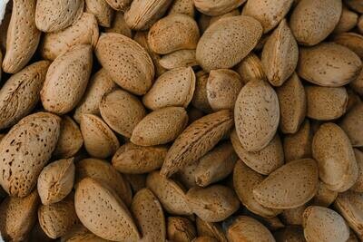 Linha Snacks