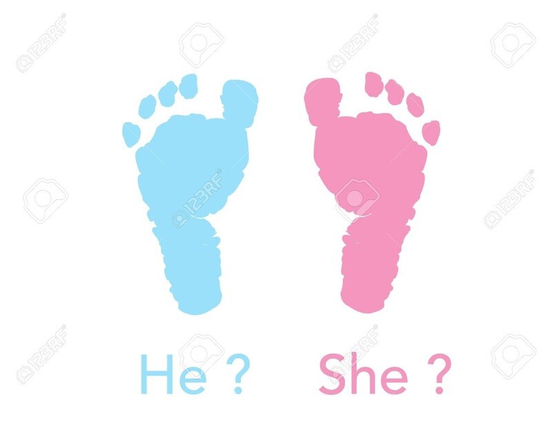 Pregnancy Reading Including Gender Prediction