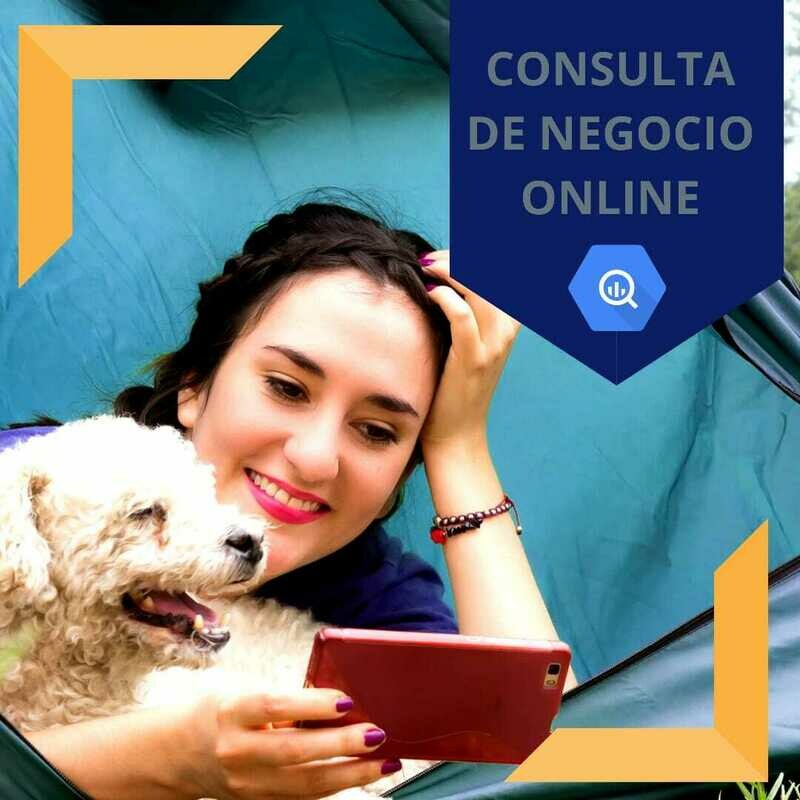 ​Consulta (1 hora)