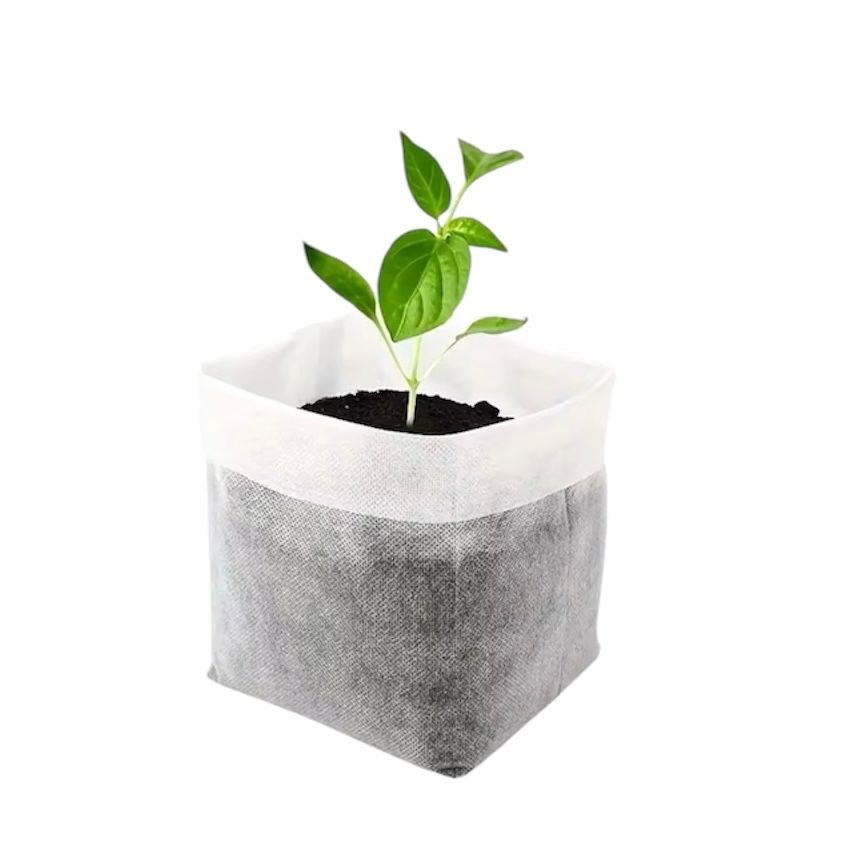 Bolsa de Cultivo Biodegradable