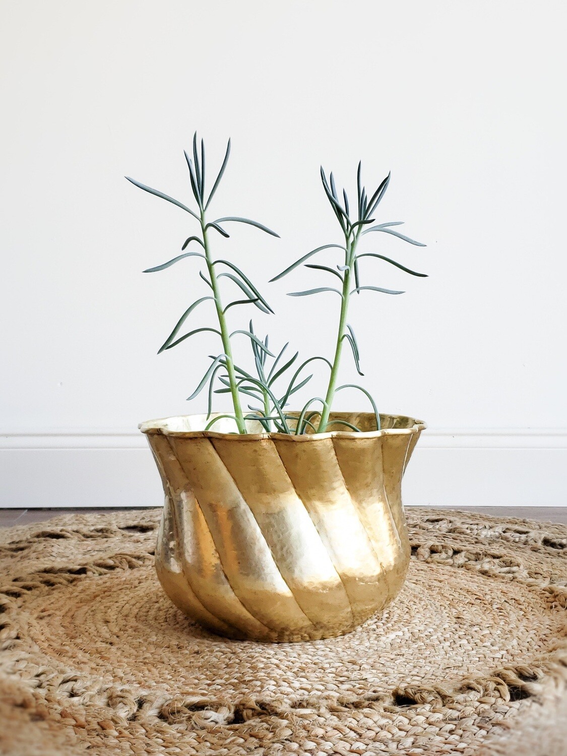 Large Vintage Brass Planter | Hammered, Scalloped &amp; Fluted | India