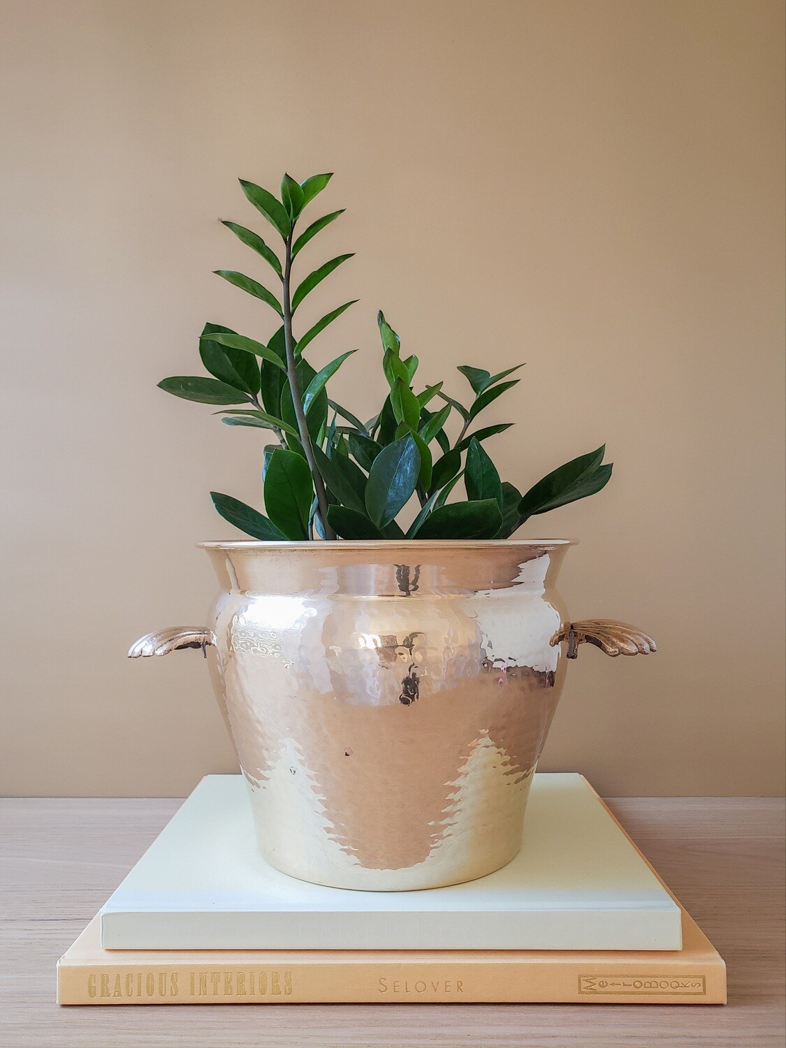 Vintage Solid Brass Cachepot w/ Shell Handles | Planter | Hammered | India