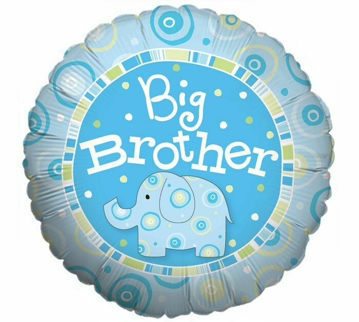 Big Brother Zoobilee Elephant Balloon
