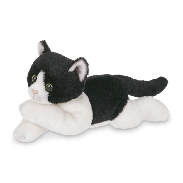 Lil Domino The Black & White Tuxedo Cat