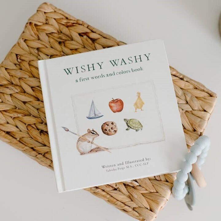 Wishy Washy: A First Words & Colors Board Book