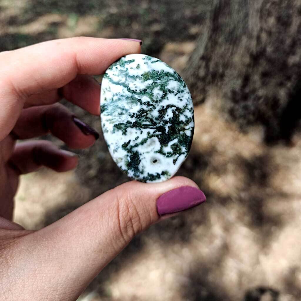 Rodado plano de ágata árbol