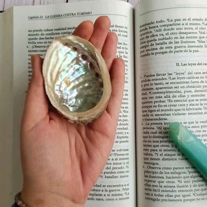 Concha de ábalon roscado pequeña