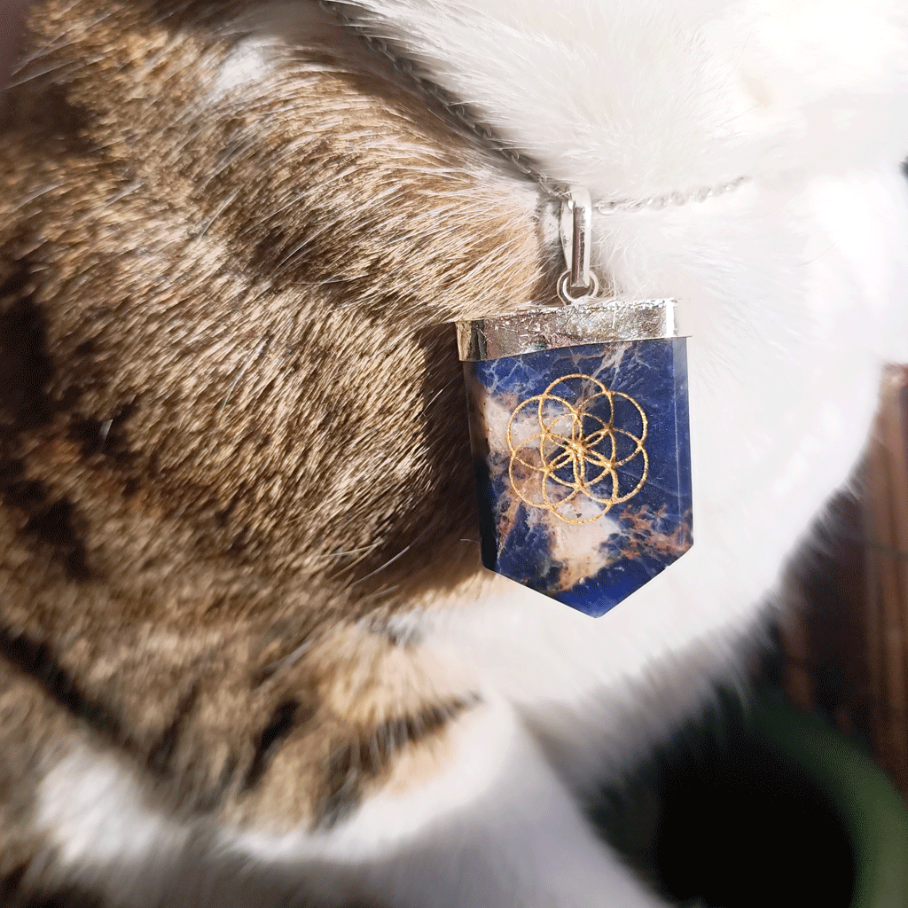 Colgante dor de Sodalita