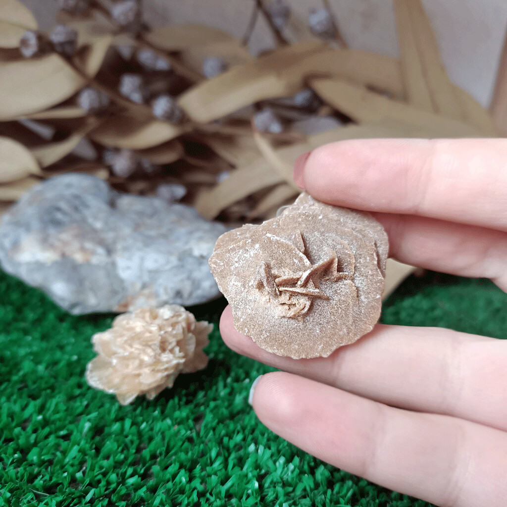 Bruto rosa del desierto mini