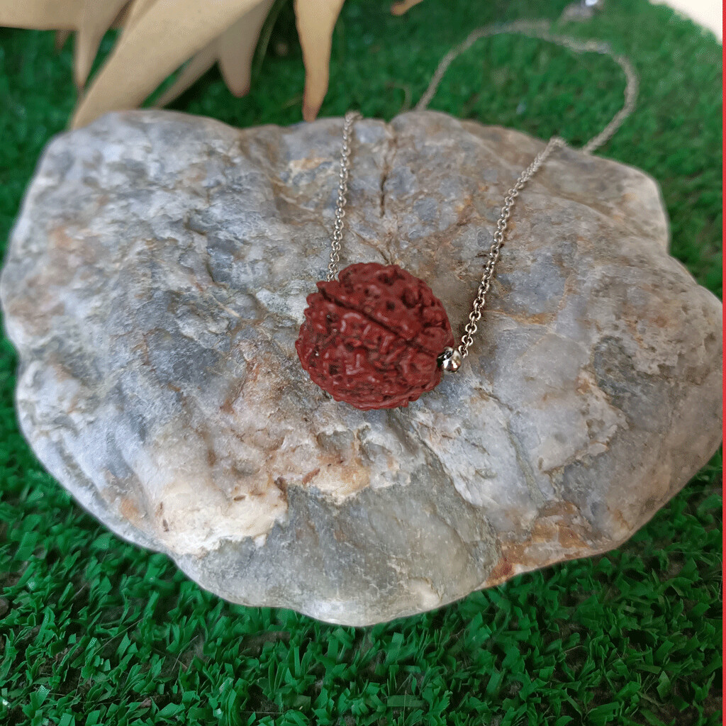 Colgante de rudraksha