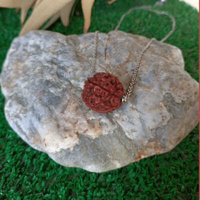 Colgante de rudraksha