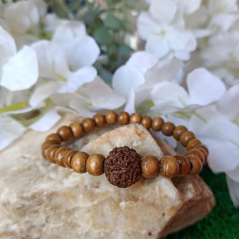 Pulsera elástica de Ojo de Shiva o Rudraksha Pulsera elástica de Ojo de Shiva o Rudraksha