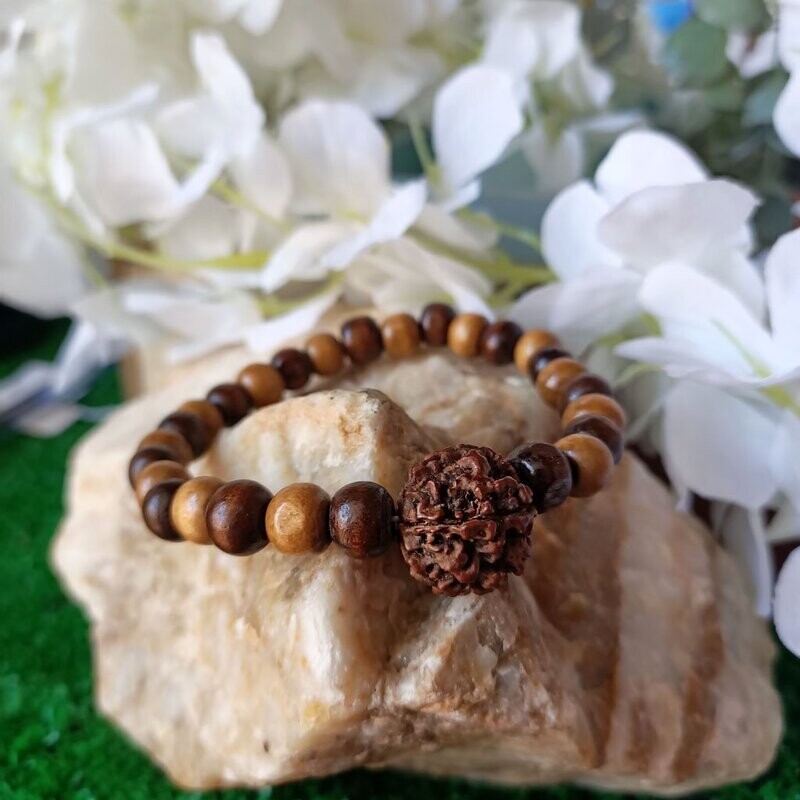 Pulsera elástica de Ojo de Shiva o Rudraksha multicolor Pulsera elástica de Ojo de Shiva o Rudraksha multicolor