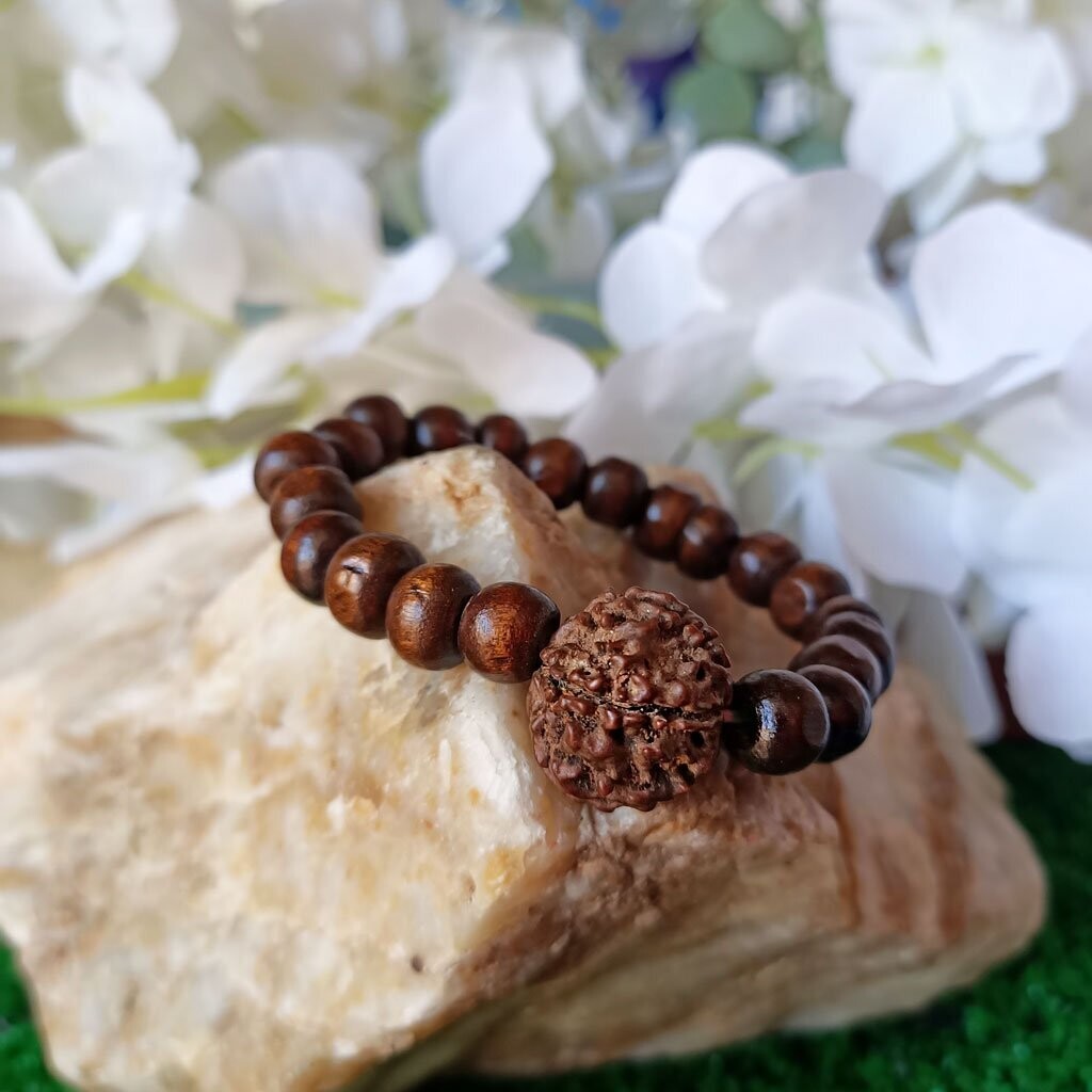 Pulsera de ojo de shiva o rudraksha oscura