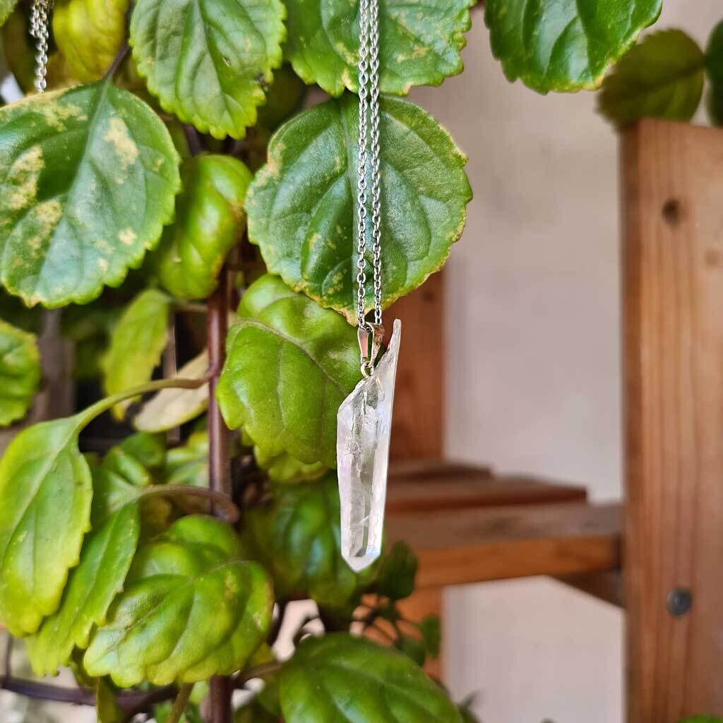 Colgante semilla lemuriana