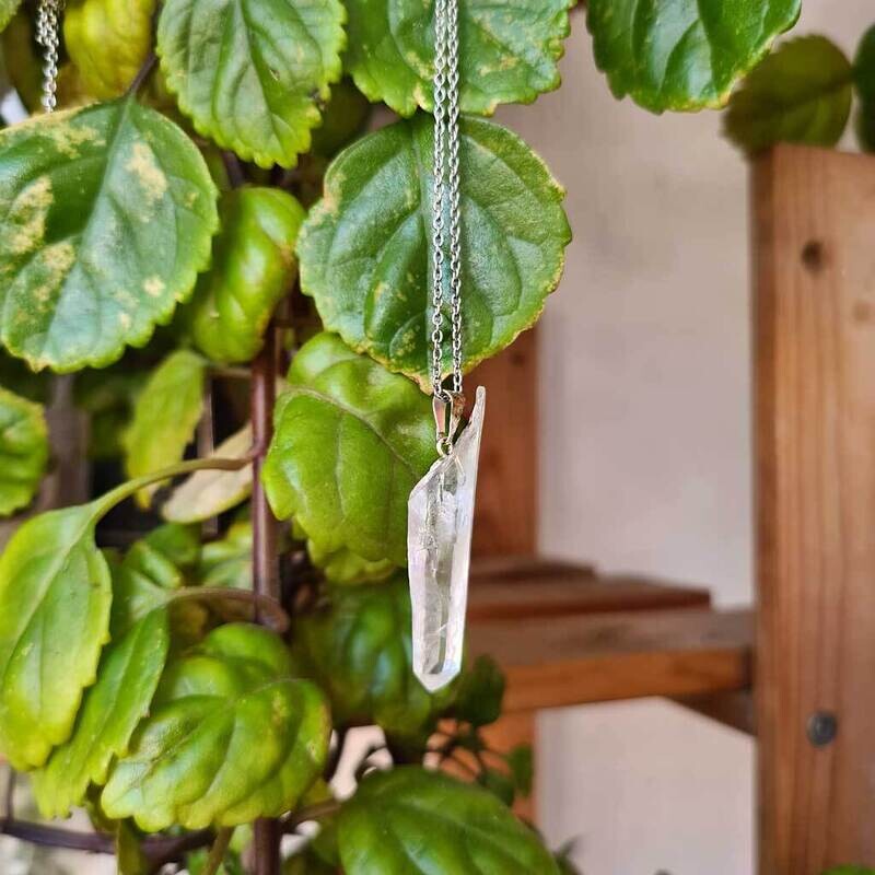 Colgante semilla lemuriana