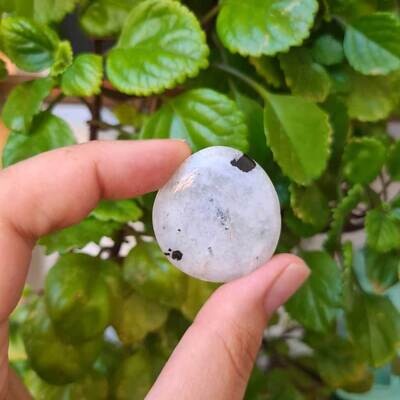 Rodado plano de piedra luna