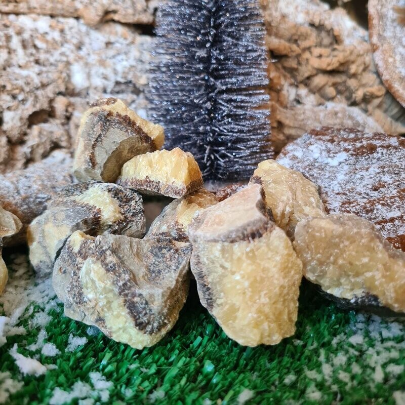 Bruto de septaria pequeño
