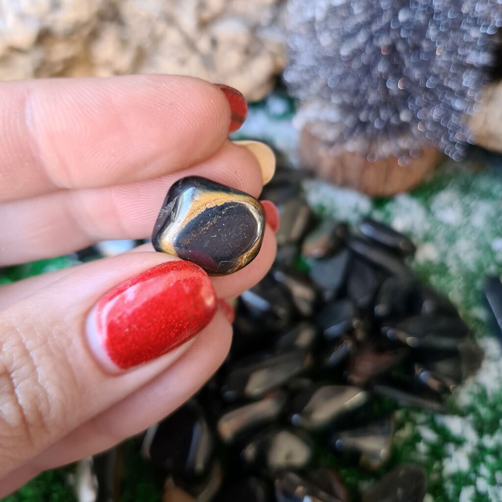 Rodado de ojo de halcón pequeño