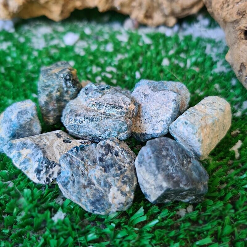 Bruto de apatito azul pequeño
