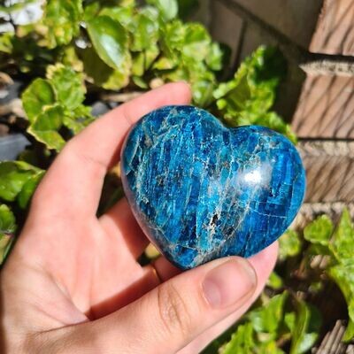 Corazón de apatito azul súper extra