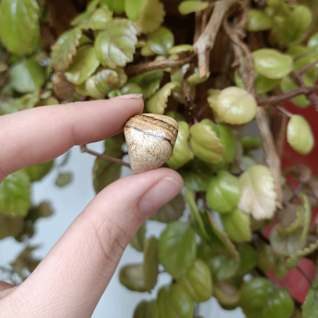 Rodado de Jaspe Madera