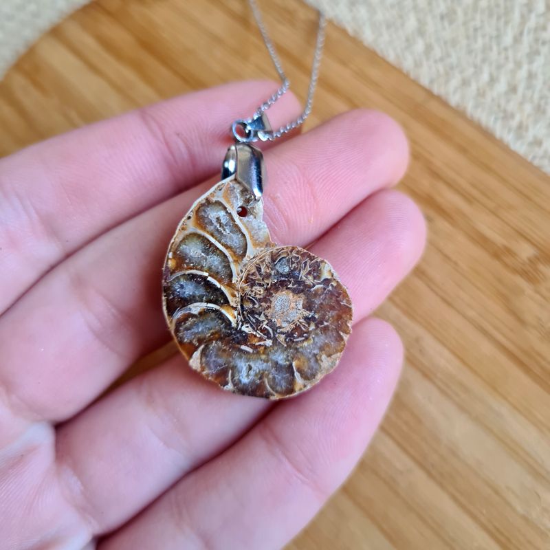 Colgante de Ammolita Opalizado en acero