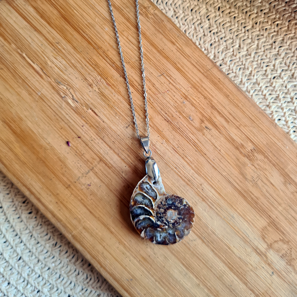 Colgante de Ammolita Opalizado en acero