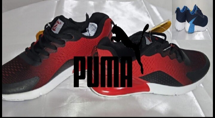 PUMA