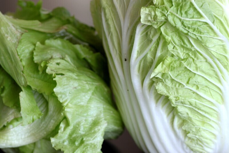 Napa cabbage (head)