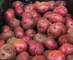 Red potatoes (2 lb bag)