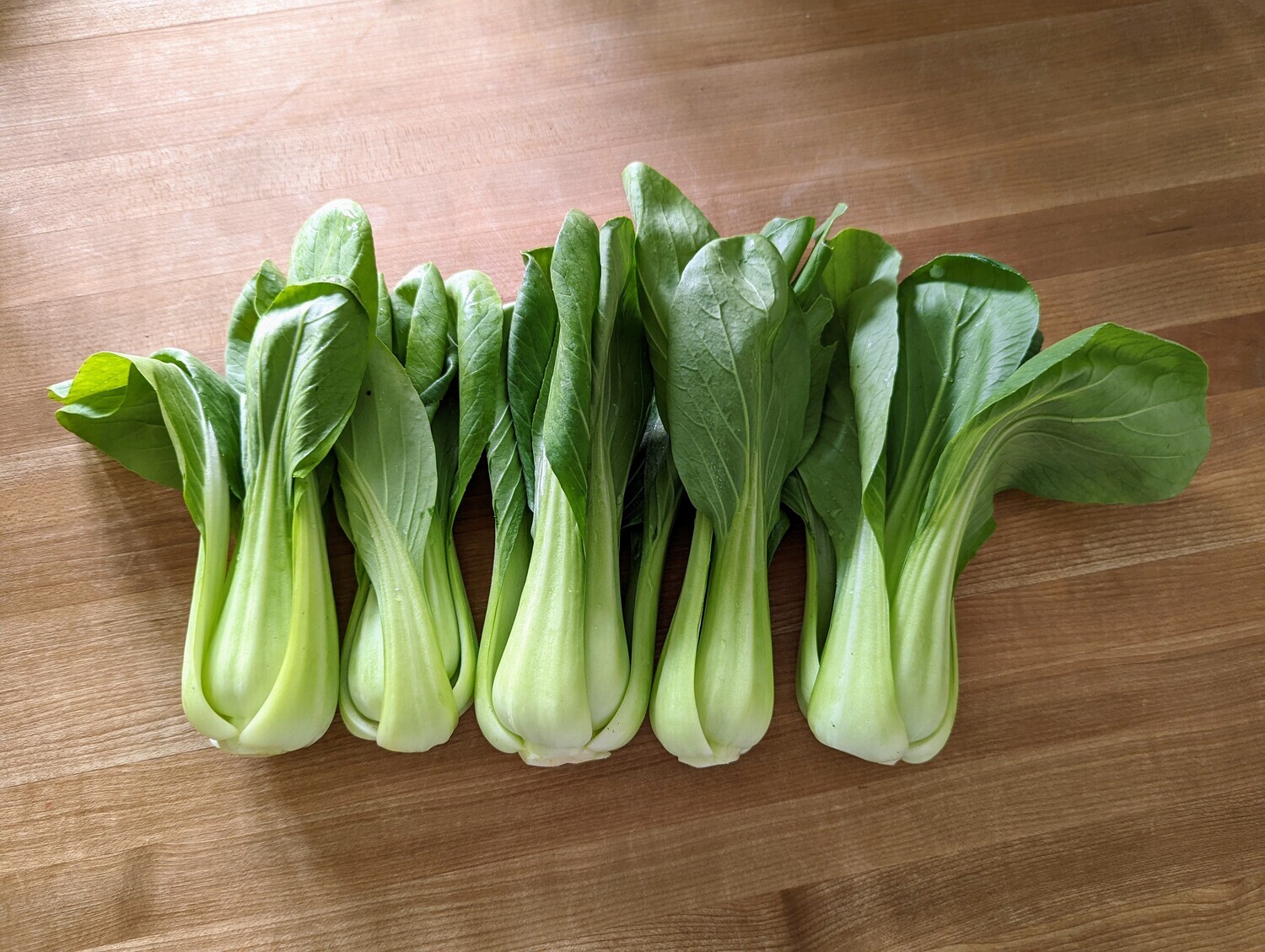 Baby Bok Choy (bunch)