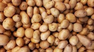 Yukon Gold potatoes (2 lb bag)