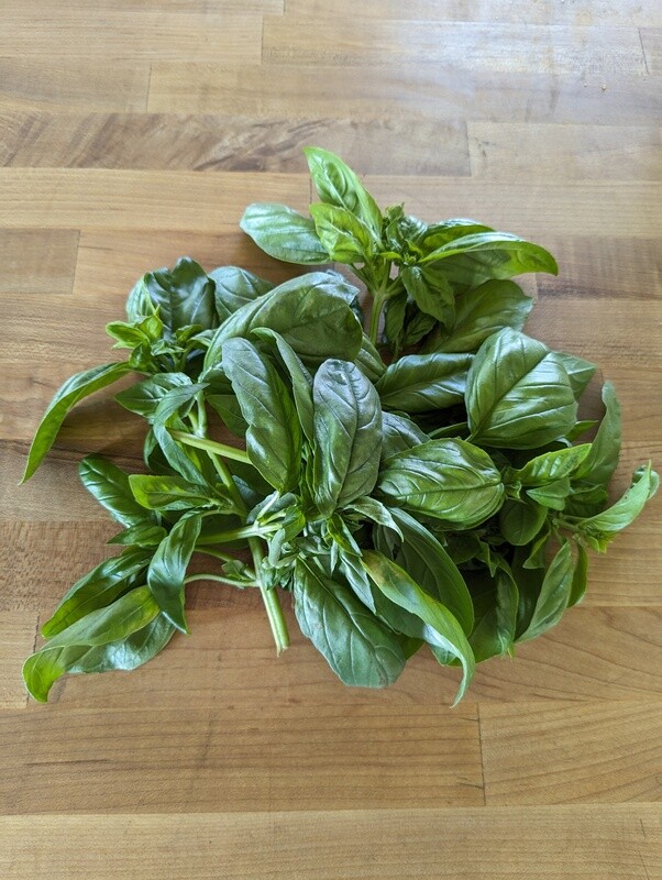 Basil (bunch)