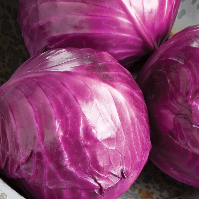 Red Cabbage (Head)