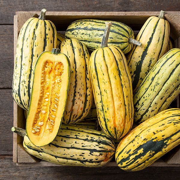 Winter Squash: Delicata