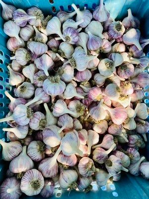 Garlic (1/2 lb bag)