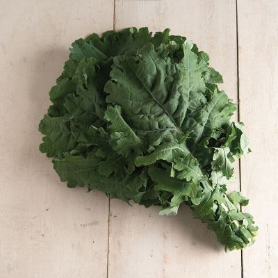 Kale- White Russian (wholesale)