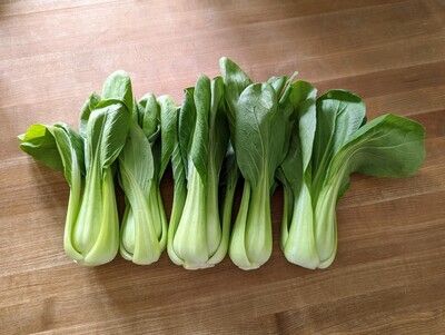 Baby Bok Choy (wholesale)