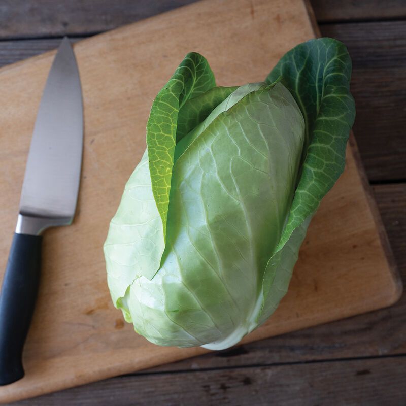 Green Caraflex Cabbage