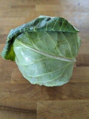 Green Cabbage (wholesale)