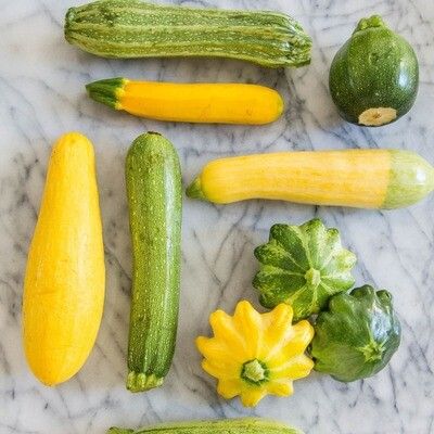 Zucchini (wholesale)