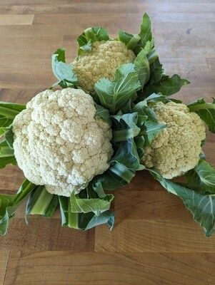 Cauliflower (wholesale)