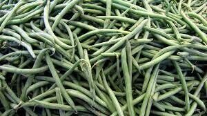 Green Beans (wholesale)