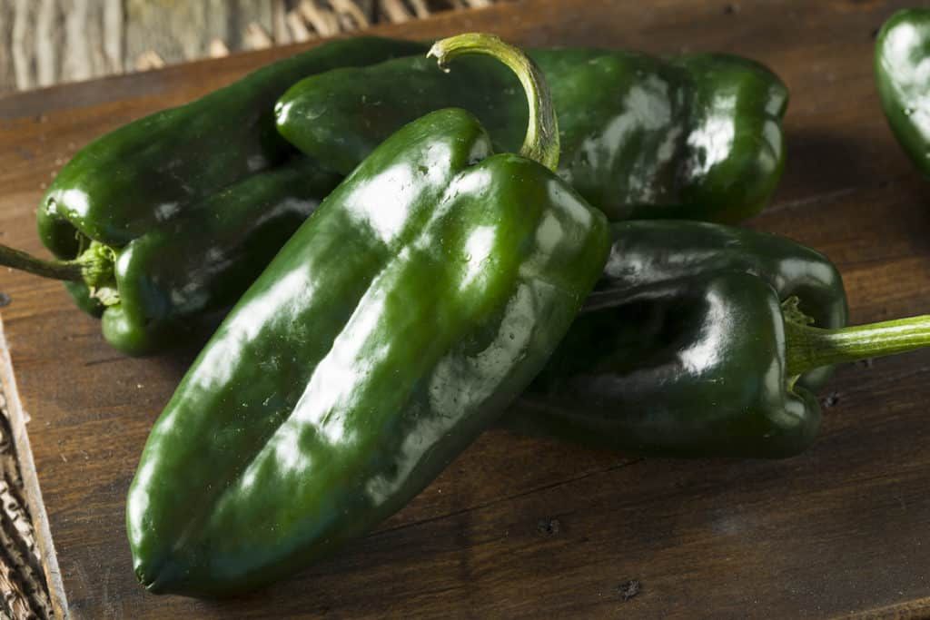 Poblano Pepper- 1lb bag (wholesale)